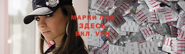 прущие грибы Лихославль