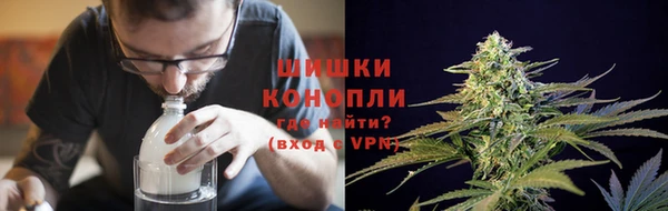прущие грибы Лихославль