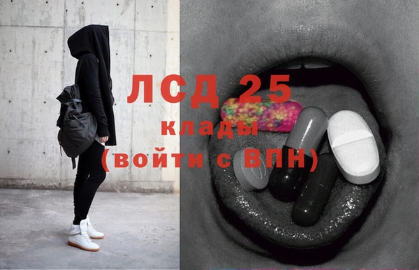 ПСИЛОЦИБИНОВЫЕ ГРИБЫ Липки