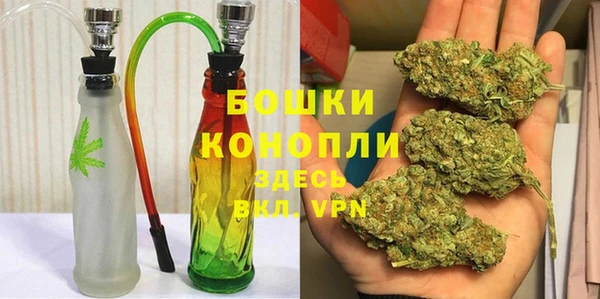 ПСИЛОЦИБИНОВЫЕ ГРИБЫ Липки